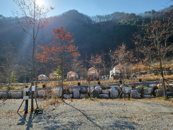 자작자작 캠핑장 이미지