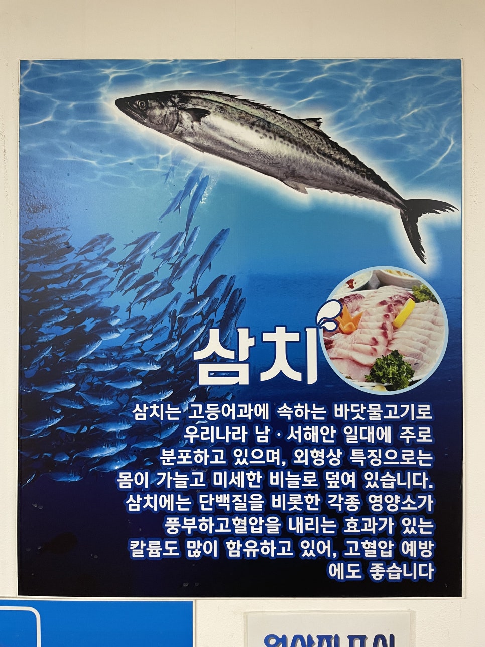 삼치회사랑 이미지