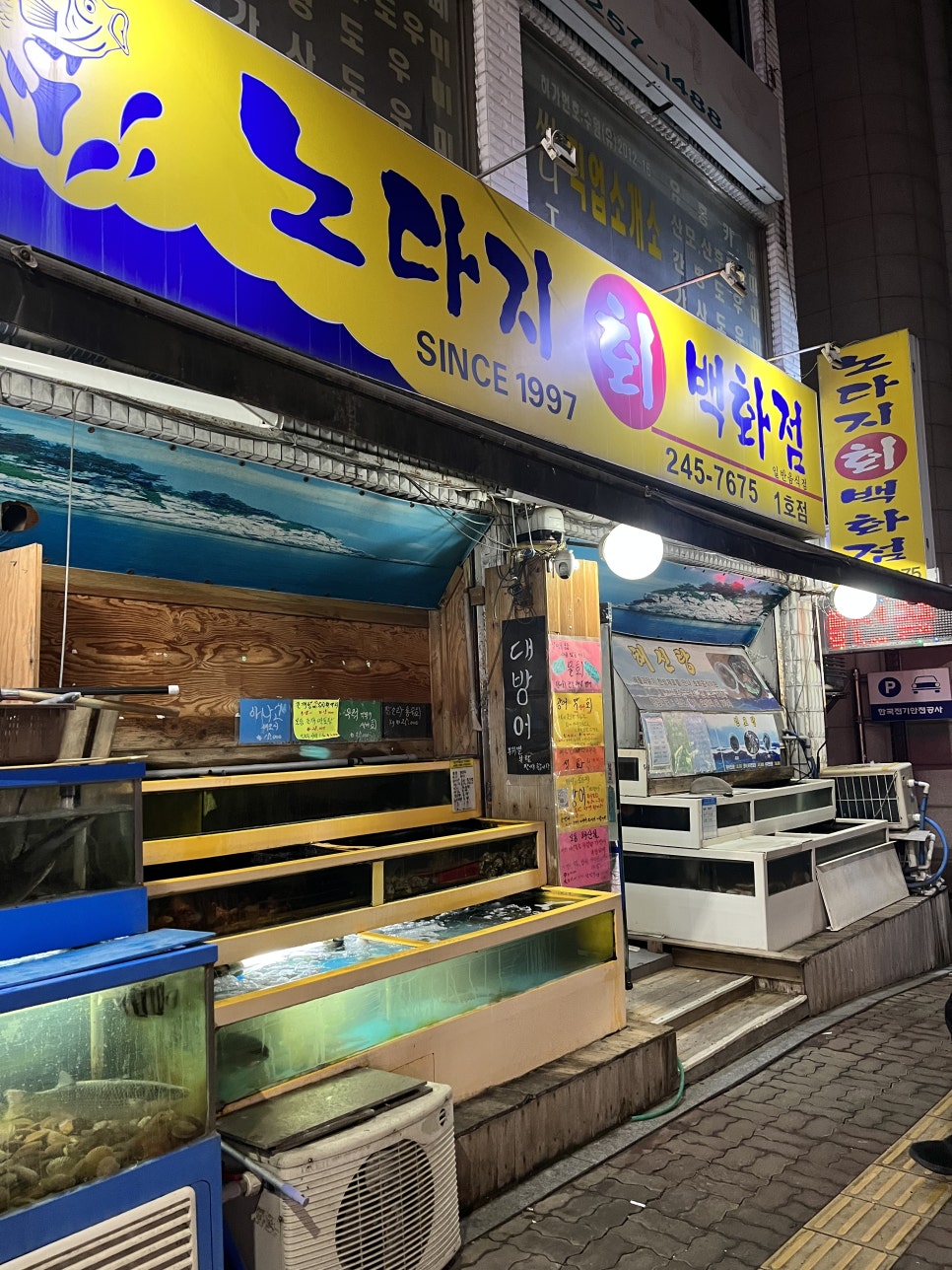 노다지회백화점 이미지