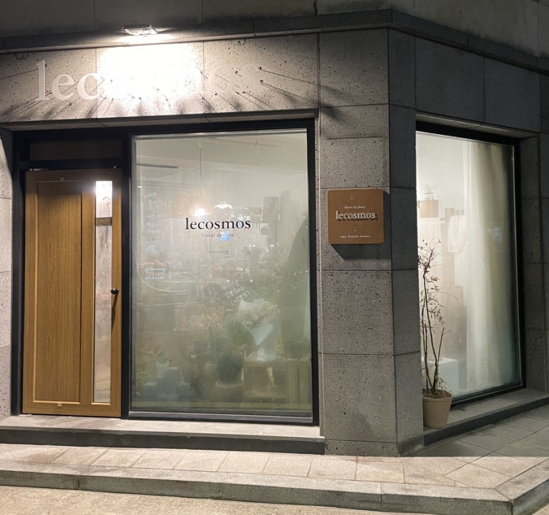 르코스모스 이미지