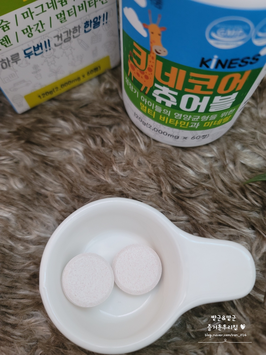 키네코어 이미지