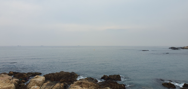 소태산마음학교 이미지