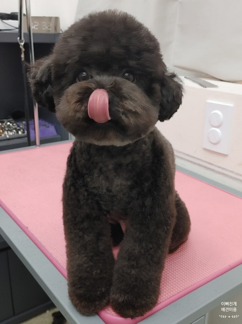 샤샤미용실 이미지