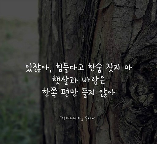 뽀송뽀송빨래방 이미지