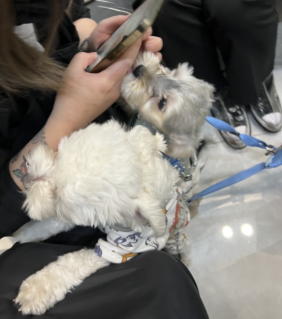 라네프살롱 이미지