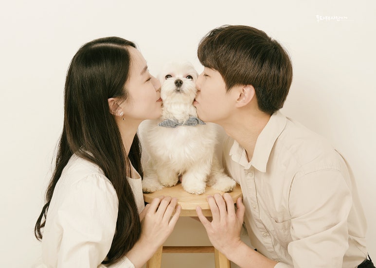 홍차부부사진가게 이미지
