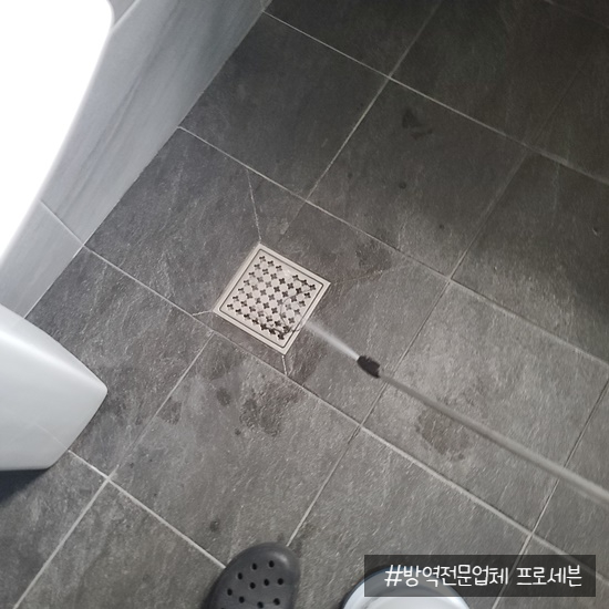 세븐주점 이미지