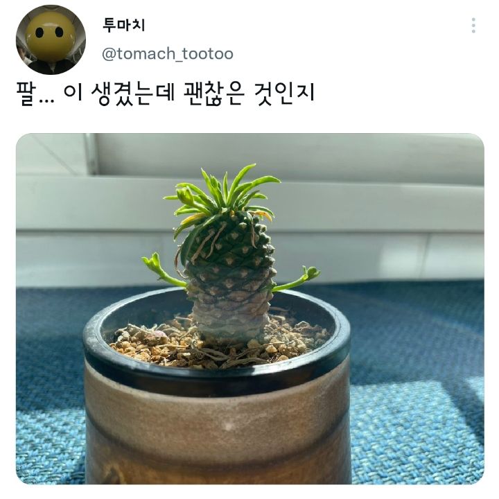 미정국수0410광명사거리역점 이미지