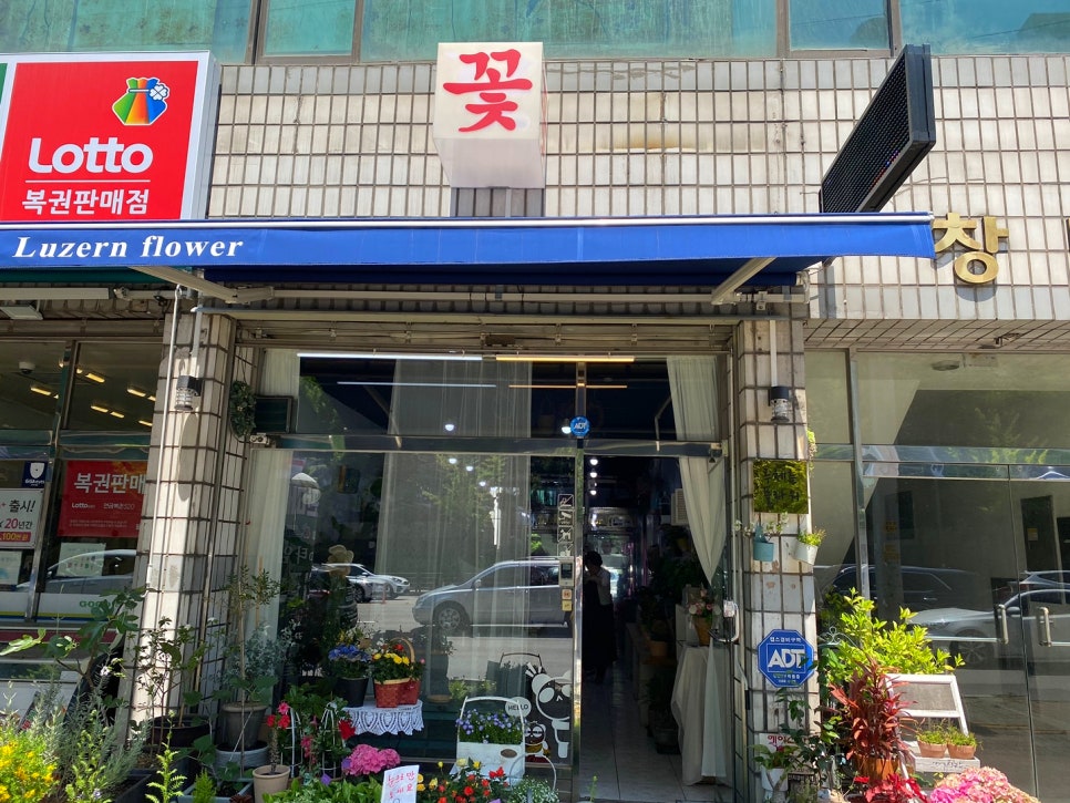 루체른플라워 이미지