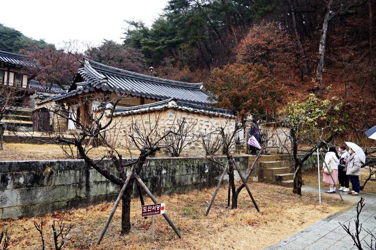 서*원 이미지