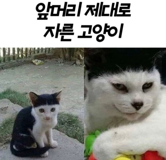 제일세탁소 이미지