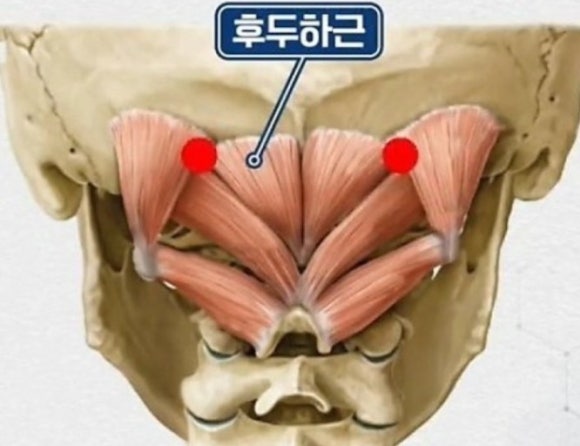 온요가필라테스 센텀점 이미지