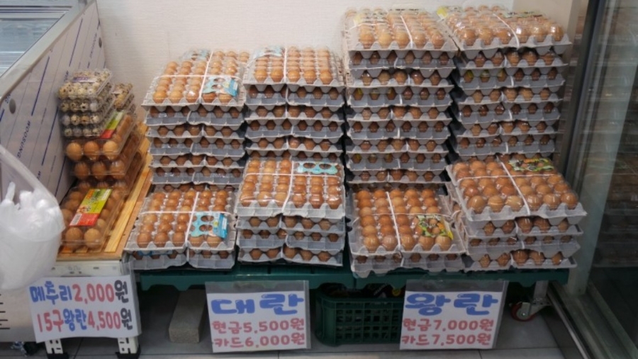 정성식육점 이미지