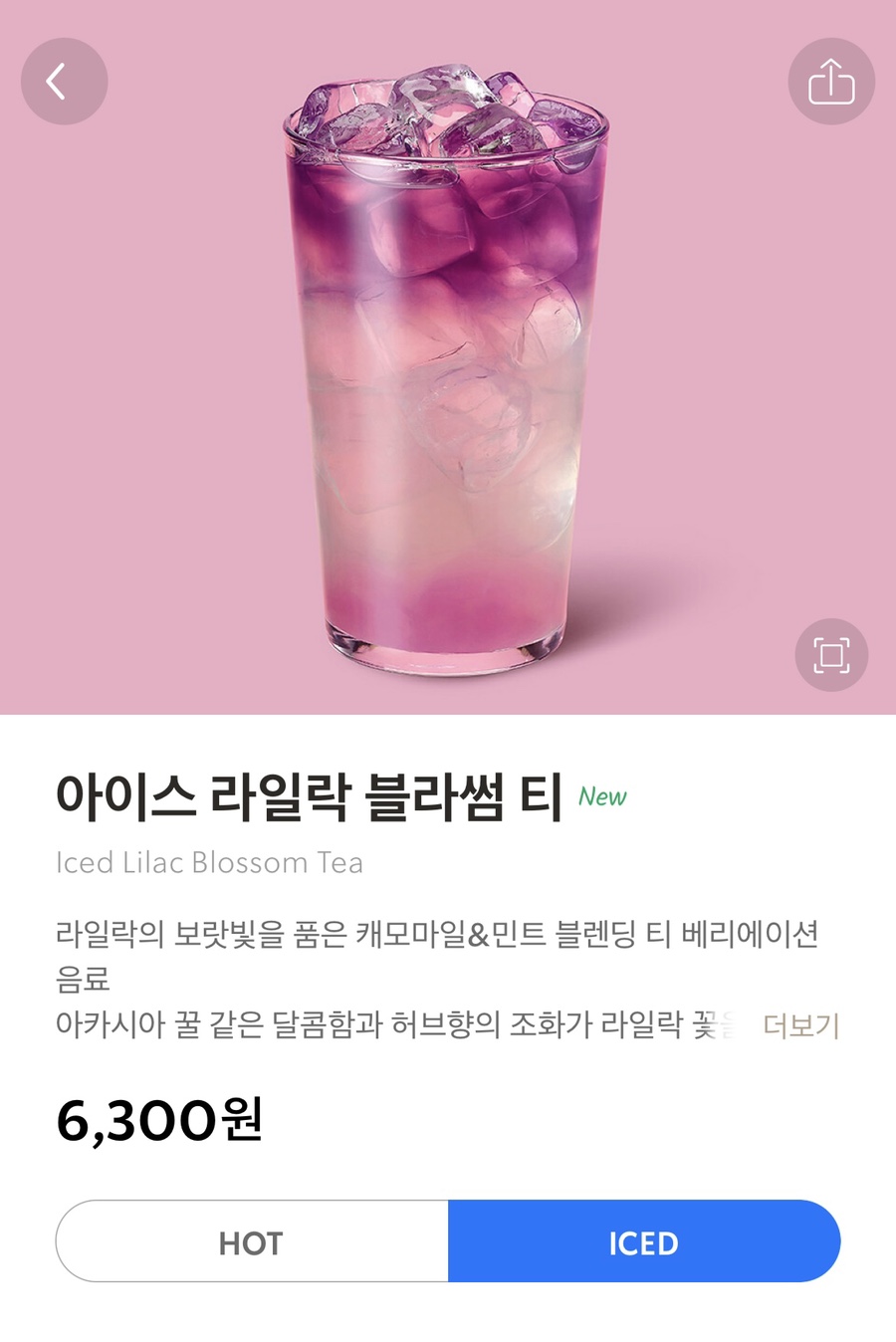 브라운블라썸 이미지
