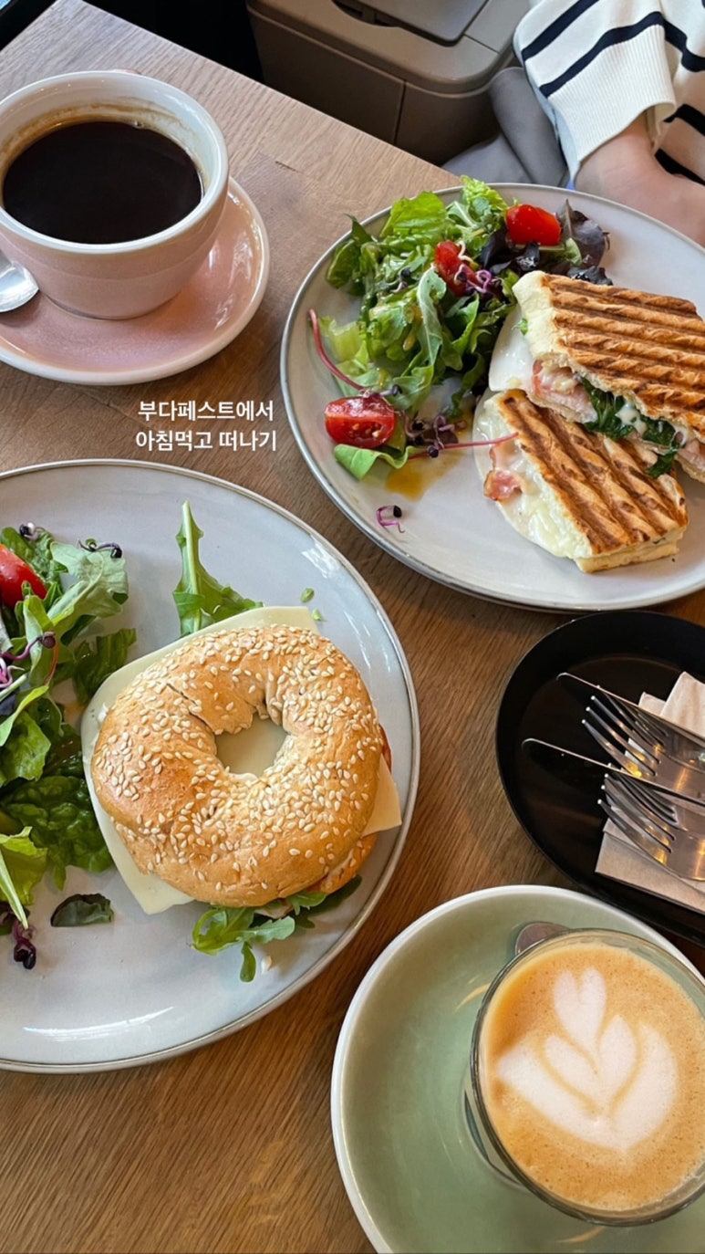 펜스터(Fenster) 이미지