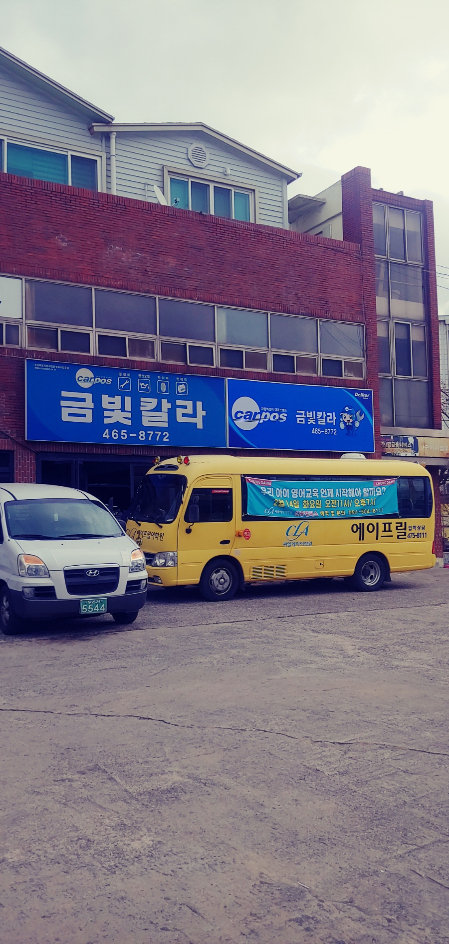 금빛칼라 이미지