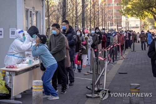 제로원방역 이미지