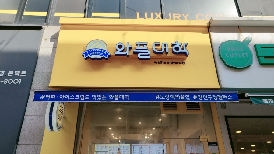 와플대학 양천구청캠퍼스 이미지