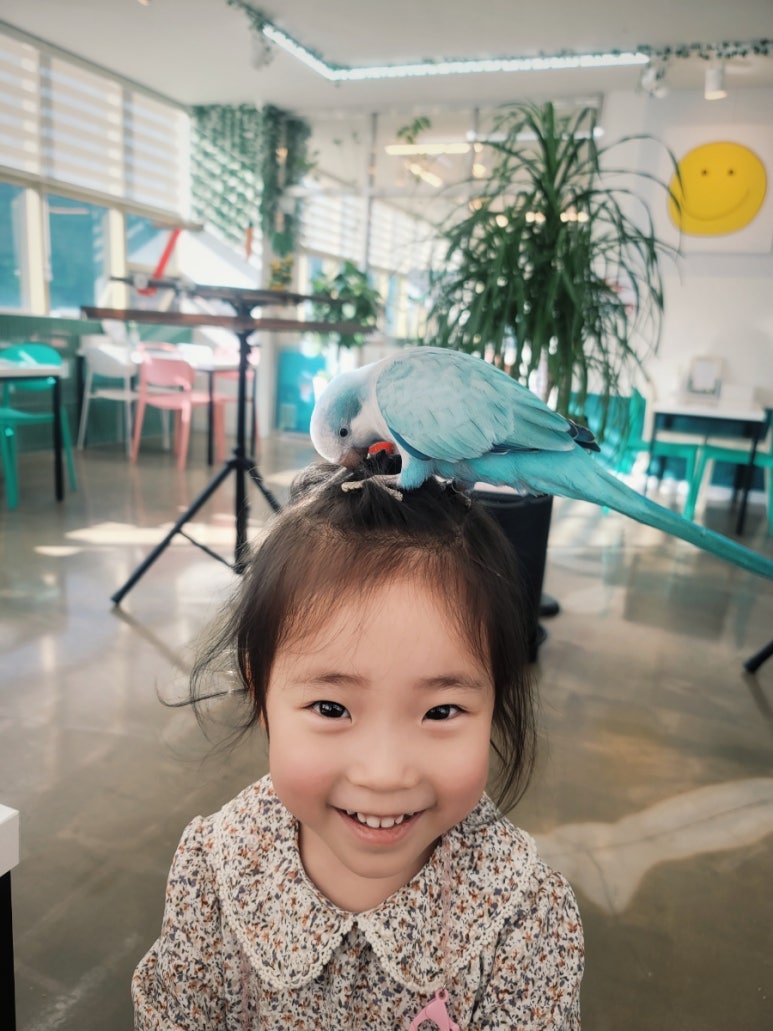 버드리김포 이미지