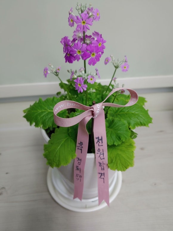 두손요양보호사교육원 이미지