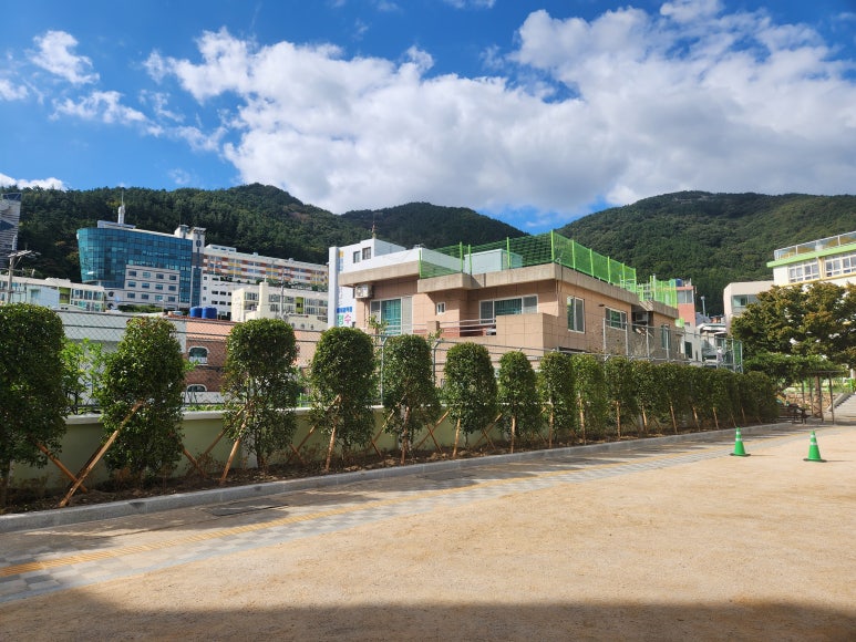 나무조경건설 이미지