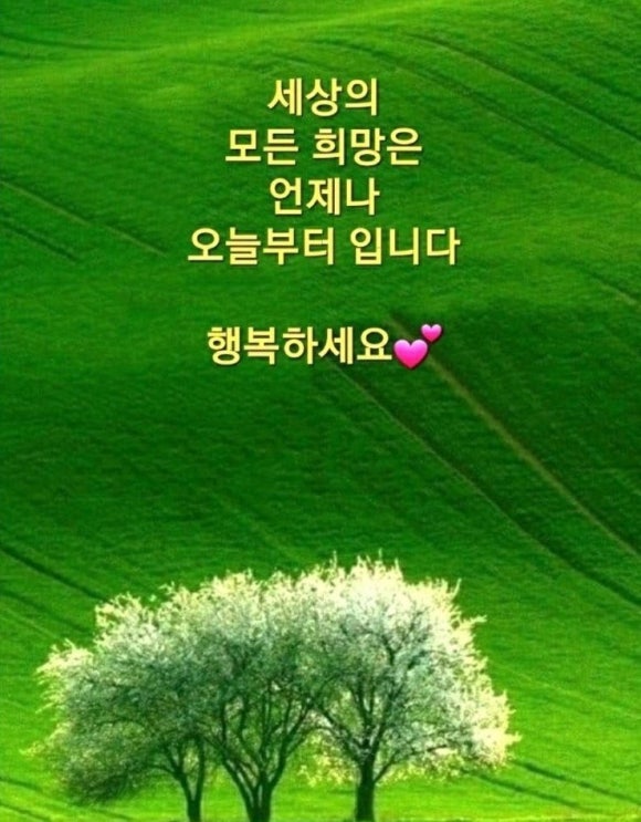 신성윤활유 이미지