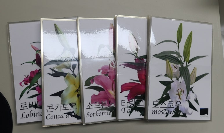 강서꽃농원 이미지
