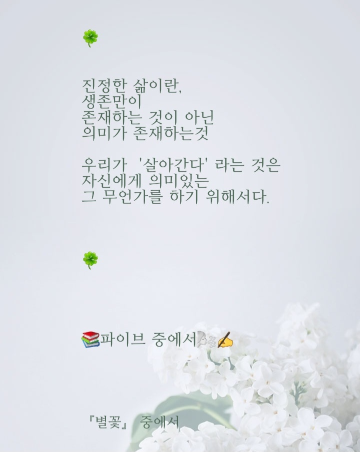 수갤러리 이미지
