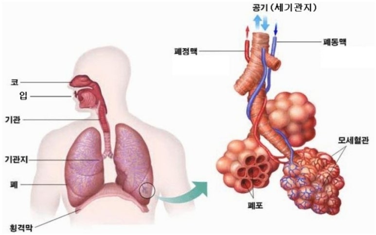 이롬시스템 이미지