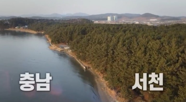 서천박대 이미지