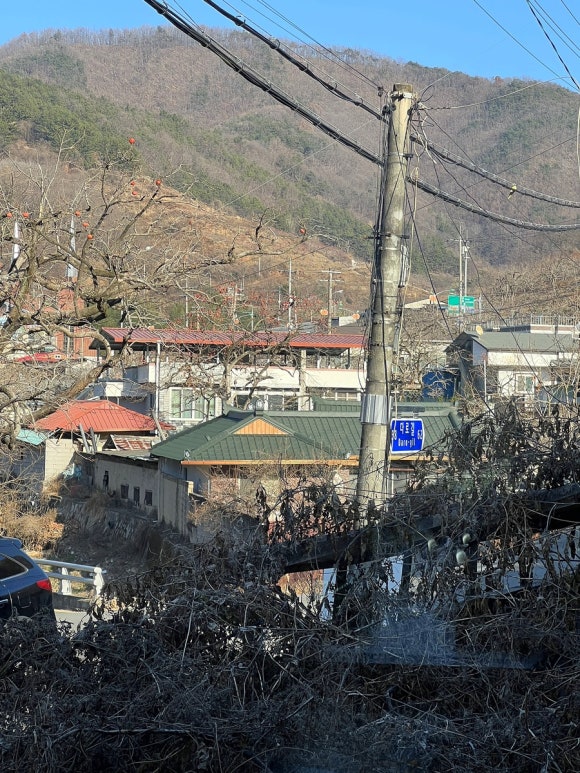 카페다로리 이미지