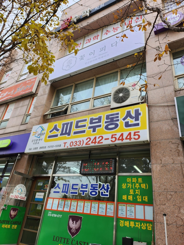 피다 케이크 이미지