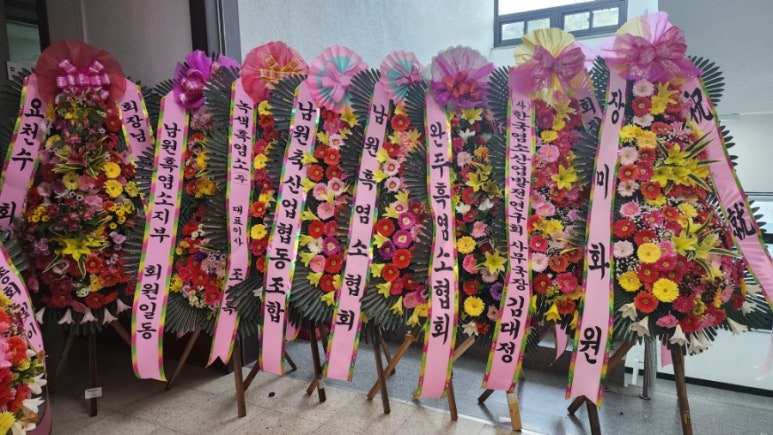 대구염소유통 이미지