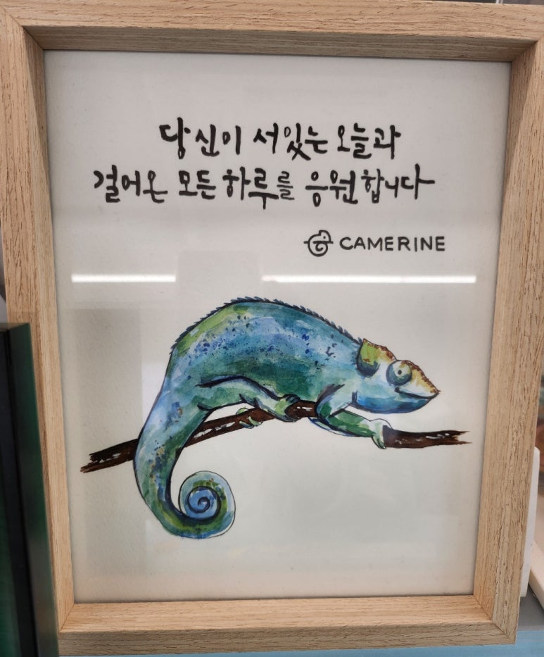 메리네카페 이미지