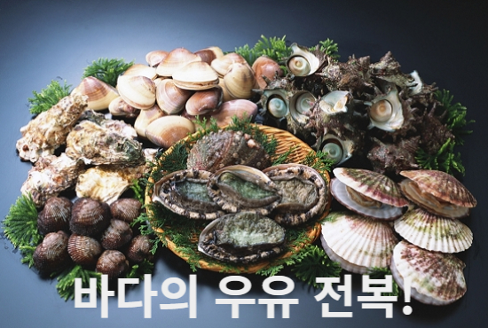 진서식품 이미지