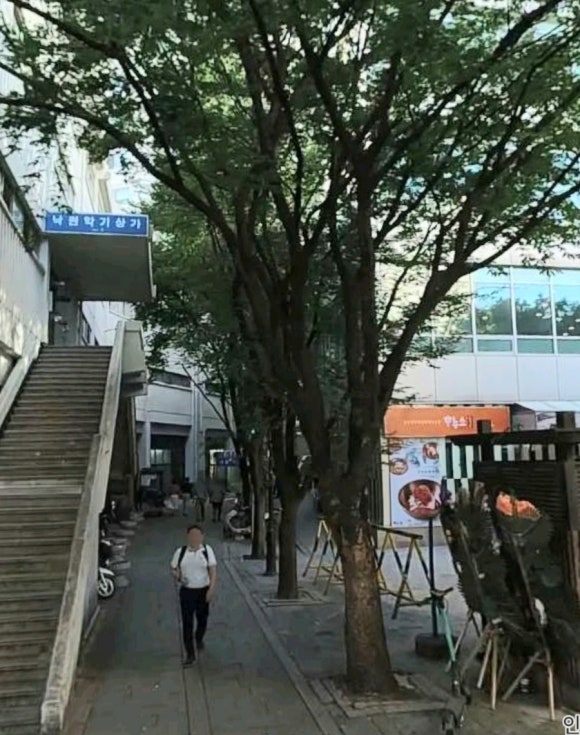 선일악기 이미지