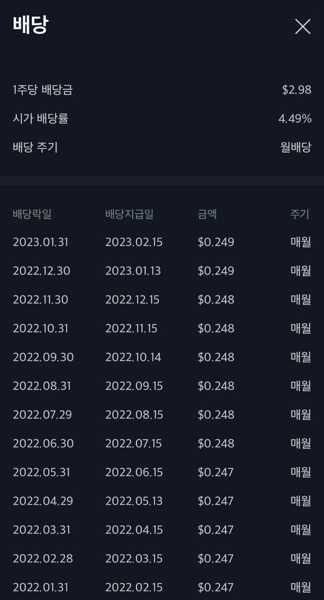 더리얼티 이미지
