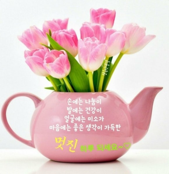 행복한 하루 이미지
