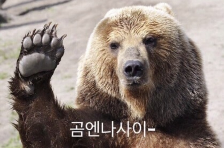 황우쌈 이미지
