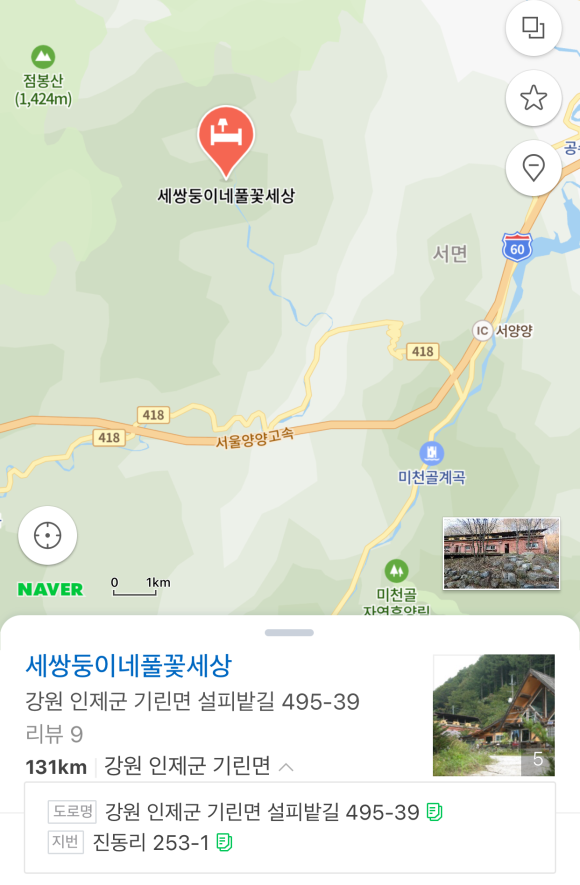 세쌍둥이네풀꽃세상 이미지