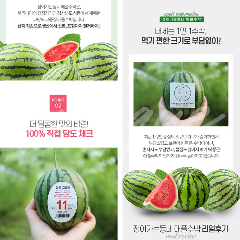 수디크 이미지
