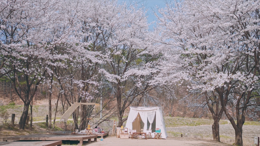 용인반딧불캠핑장 이미지