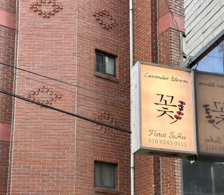 라벤더블룸 이미지