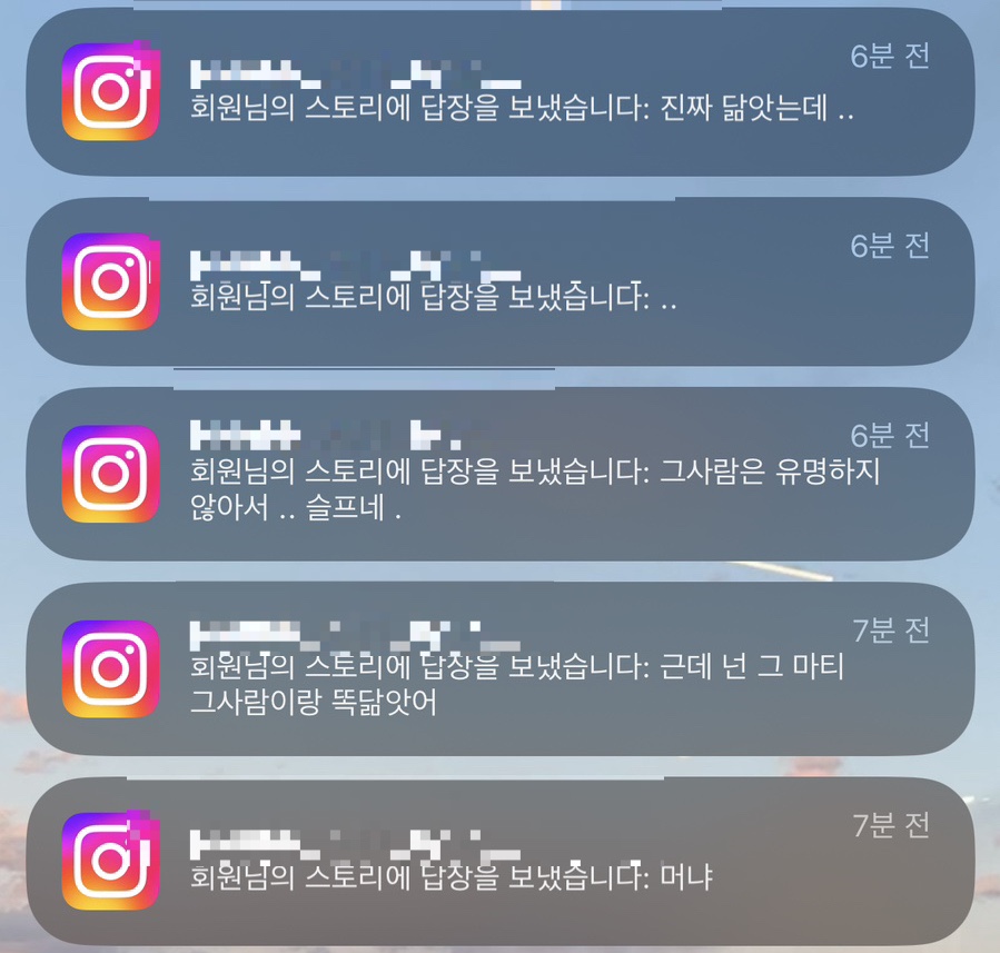마티랜드 이미지