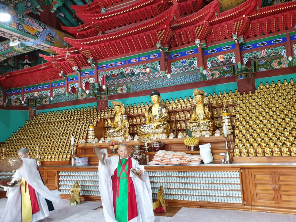 (주)디앤오 이미지