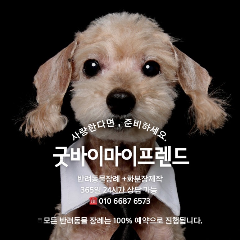 무지개할인마트 이미지