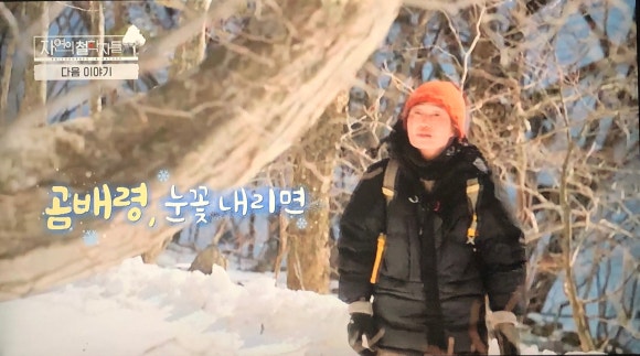 세쌍둥이네풀꽃세상 이미지