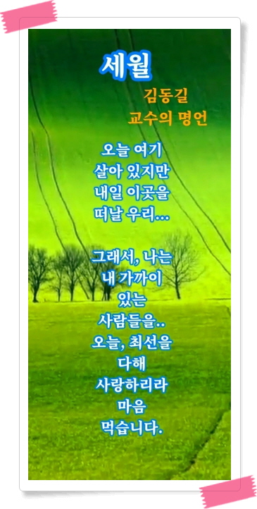 바다다방 이미지
