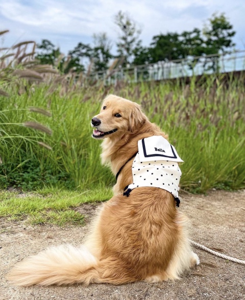 쿠름 이미지