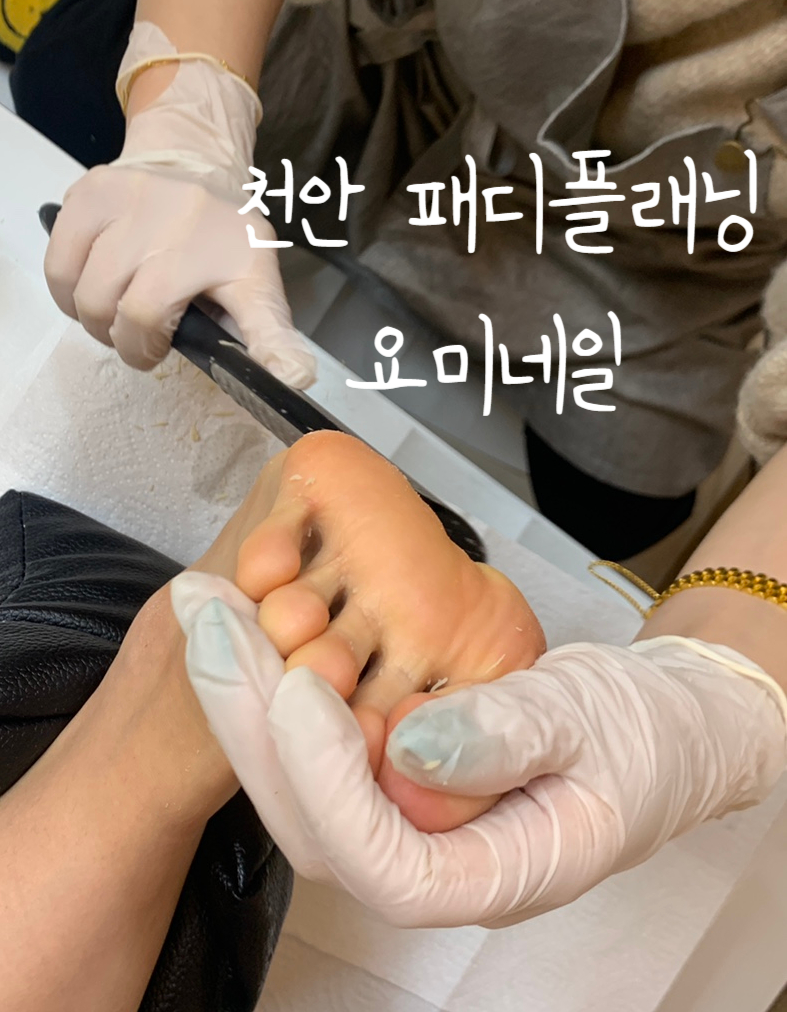 요미네일 이미지